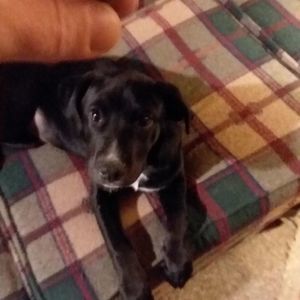 Meet your Posher, C.m.